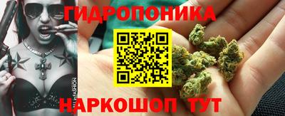 сатива Изобильный