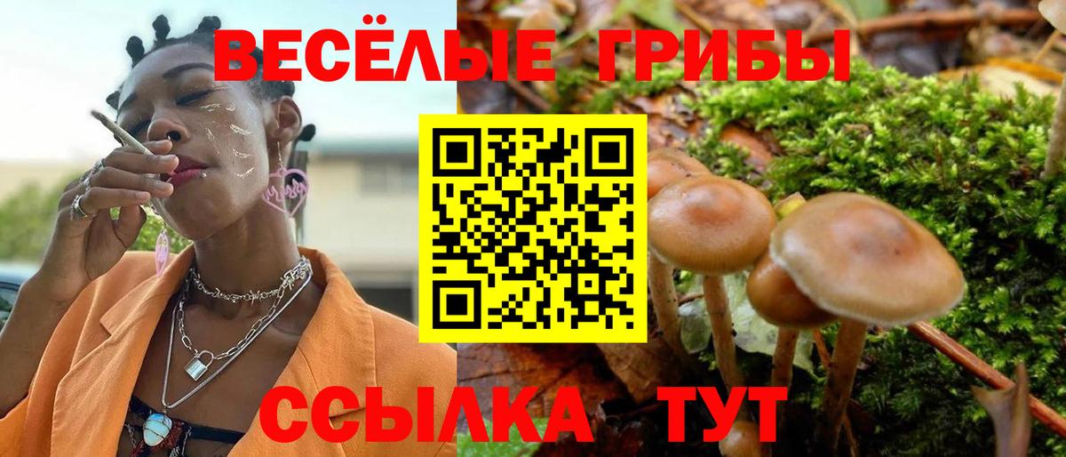 Псилоцибиновые грибы Magic Shrooms  Вход с VPN  Лыткарино 